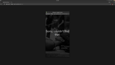 spotify error pic 2.png