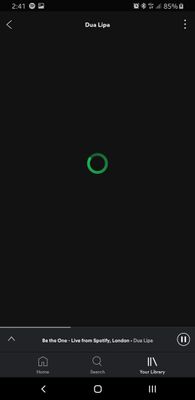 Screenshot_20190325-144138_Spotify.jpg