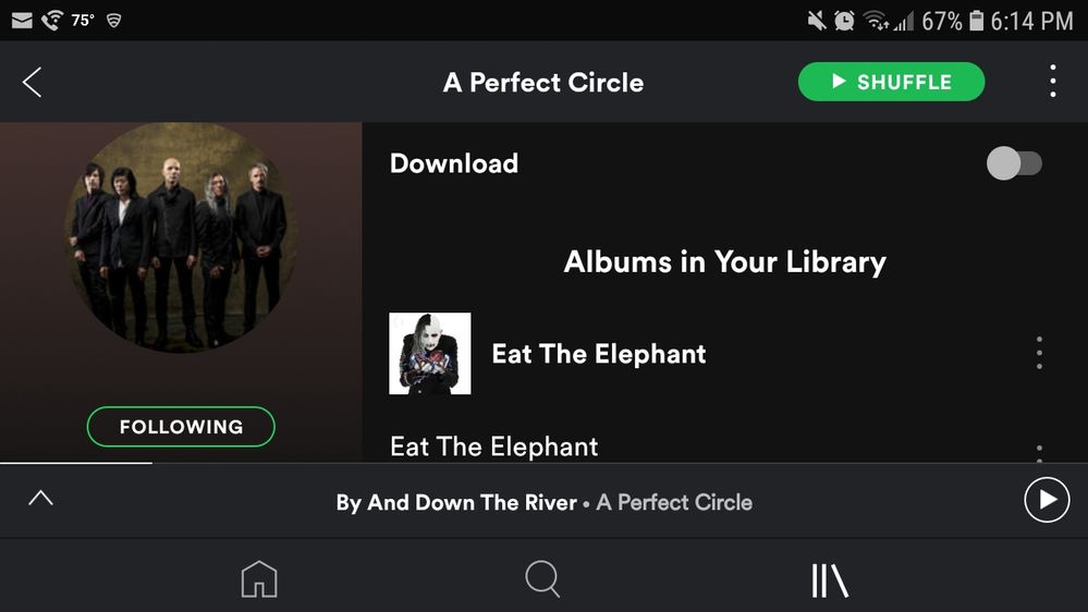 Screenshot_20190404-181416_Spotify.jpg