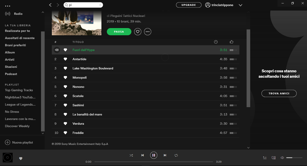 Spotify issue.PNG