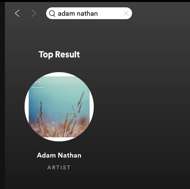 Screen Shot 2019-06-13 at 2.12.55 AM.png