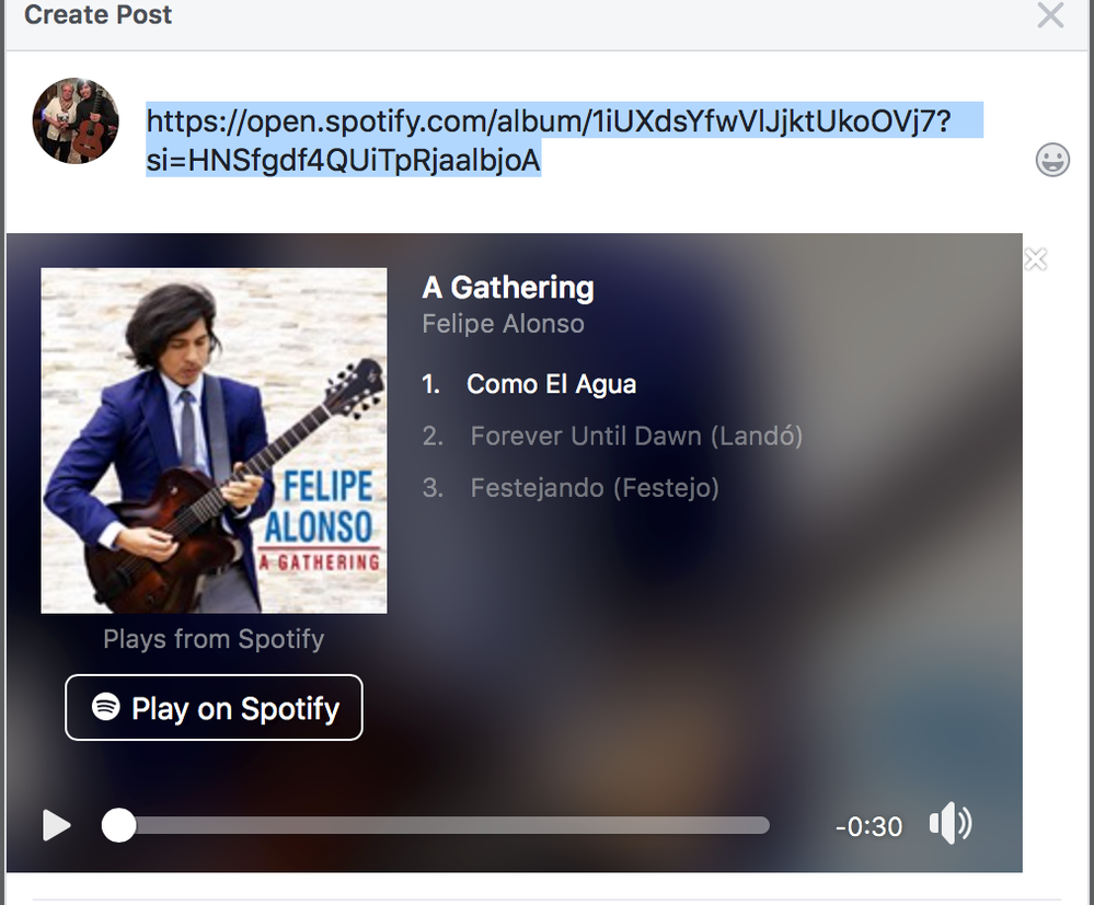 Spotifypreview.png