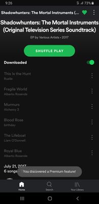 Screenshot_20191115-212642_Spotify.jpg