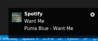 spotify_notification_bug.png