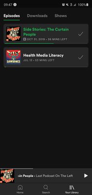 Screenshot_20200815-094703_Spotify.jpg