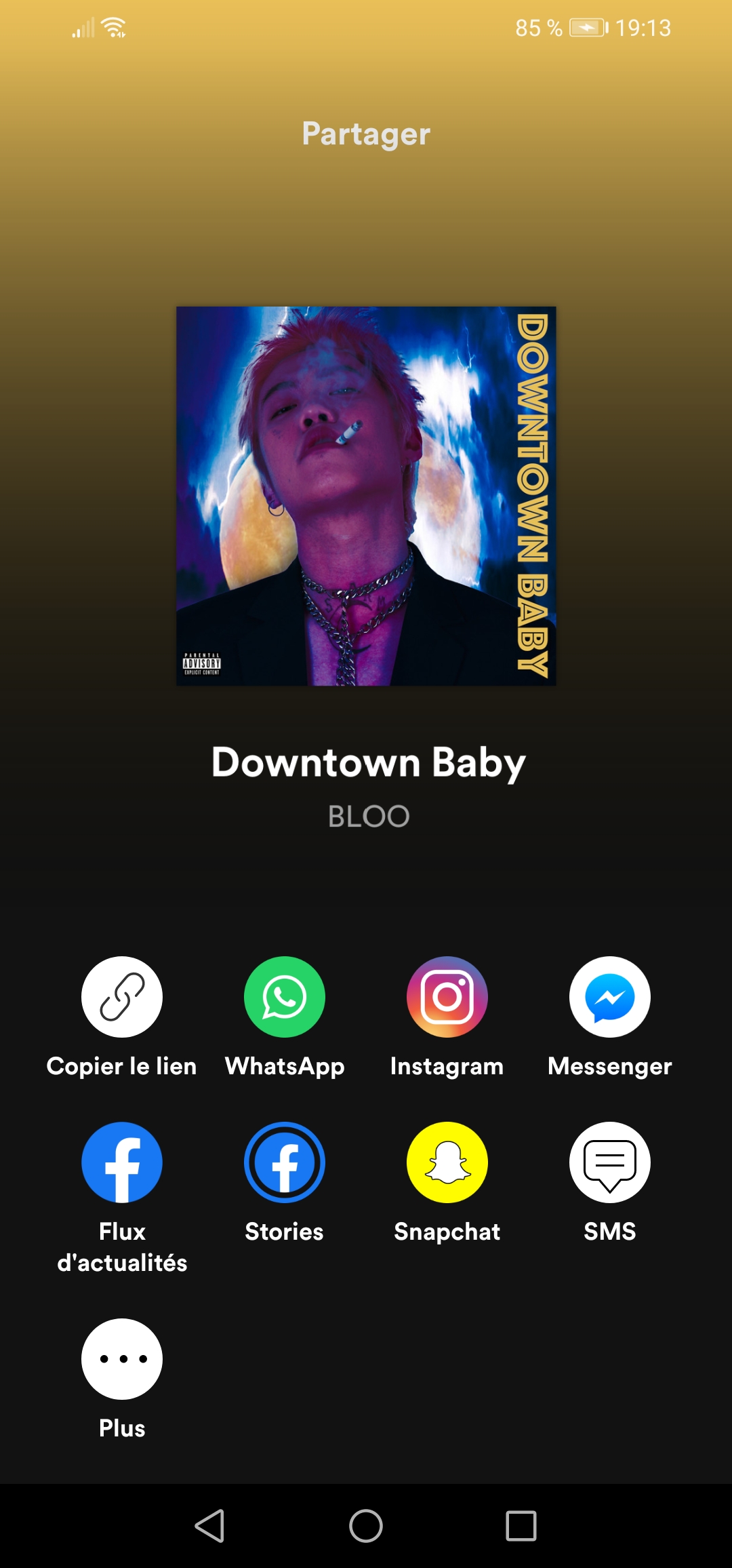 Unable to share songs on Instagram stories - The Spotify Community