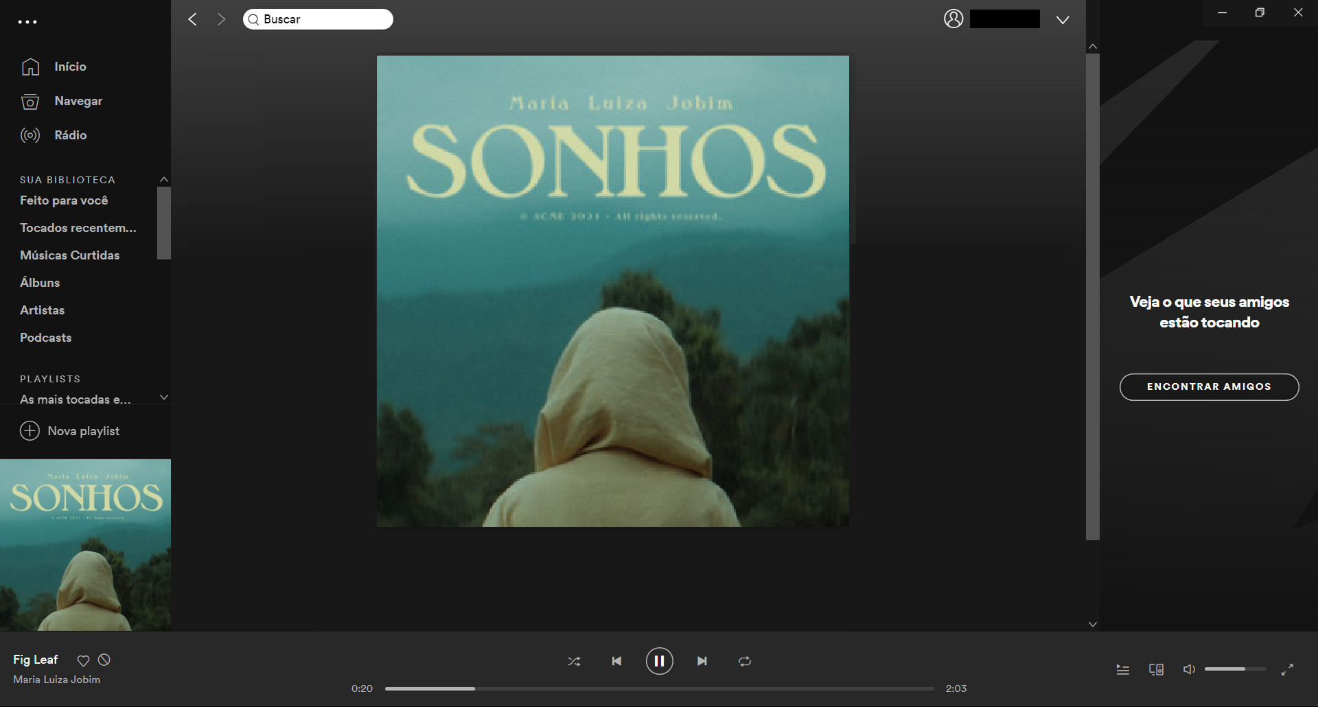 Desktop][Other] Option to maximize album cover in - The Spotify