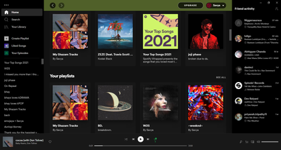 Spotify Free 06-Dec-21 10_04_45 PM.png