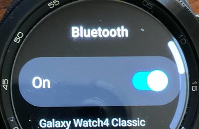 Menu that pops up when trying to playback downloaded music on watch