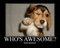 you're awesome beagle.jpg
