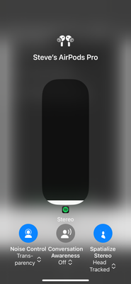 IMG_3938.png