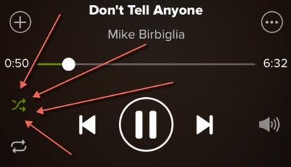 Solved: How to Disable Shuffle Play on the iPhone - The Spotify Community