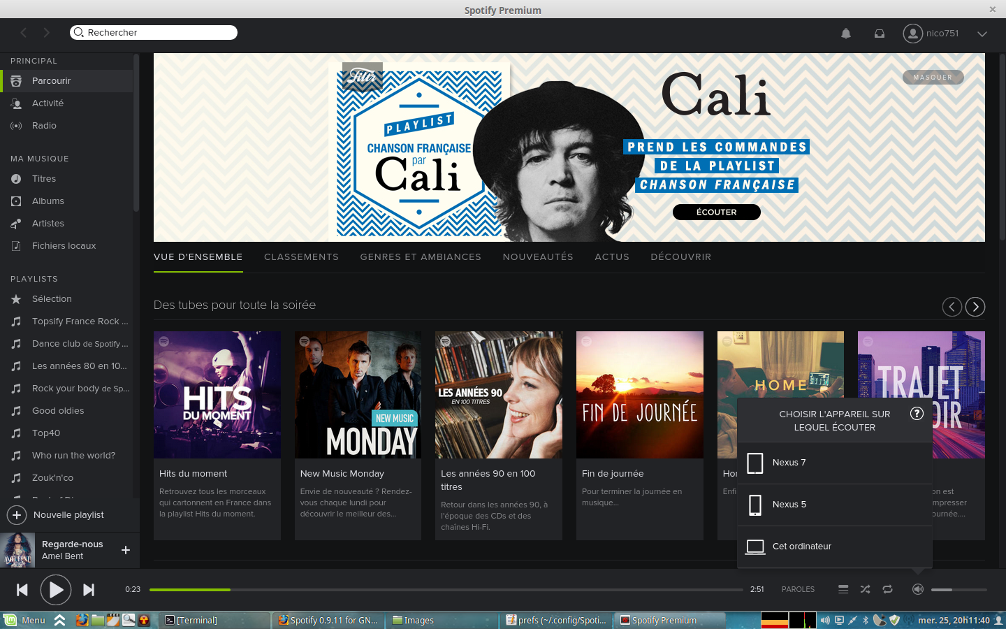 Connect_SpotifyBeta_LinuxMint