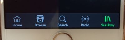 Home button on Iphone but not Ipad!