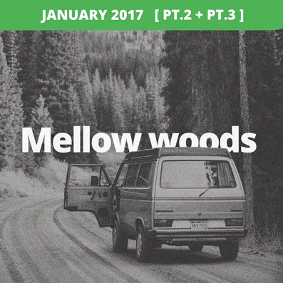 Mellow woods new update.jpg