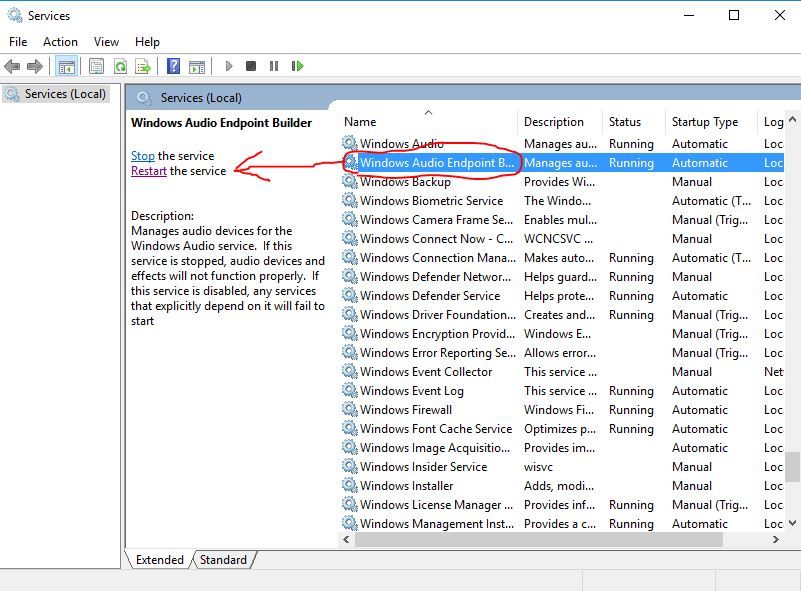 To Windows Audio Endpoint Builder then resetting
