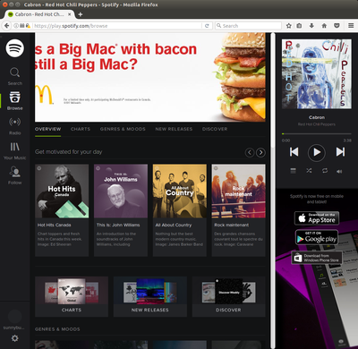 spotify-screenshot.png