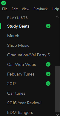 This is what my Playlists look like on the computer.