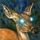 Avatar of thetalhacu