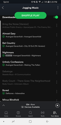 Spotify Phone.png