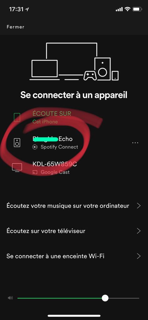 Solved: Spotify and Echo dot - The 