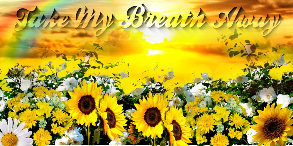 111 222 a album background Take My Breath Away Cover by Sandy Star jpeg.jpg background 4000by2000 FOR VIDEO.jpg