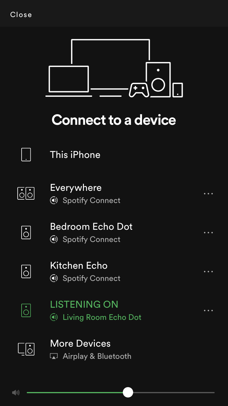 connecting multiple spotify accounts to alexa