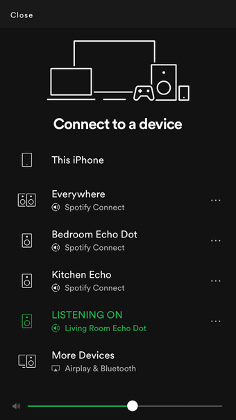 multiroom echo