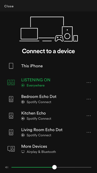 Solved: Echo Music groups not appearing ... - Spotify
