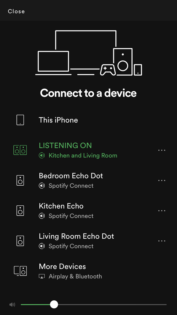 echo dot play music in multiple rooms
